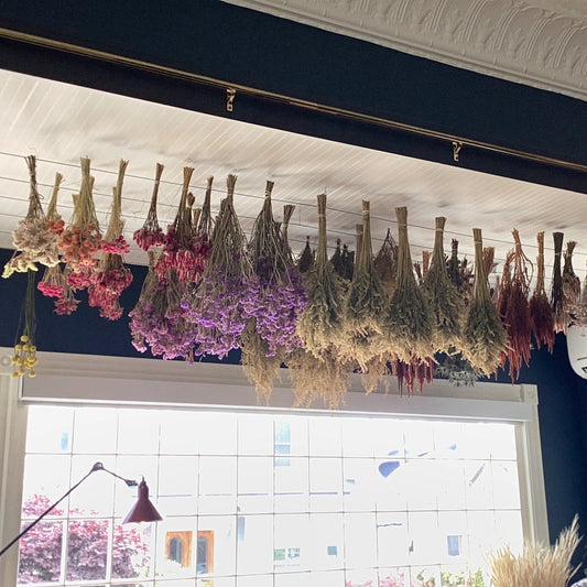 Dried Flowers - Hanging Large